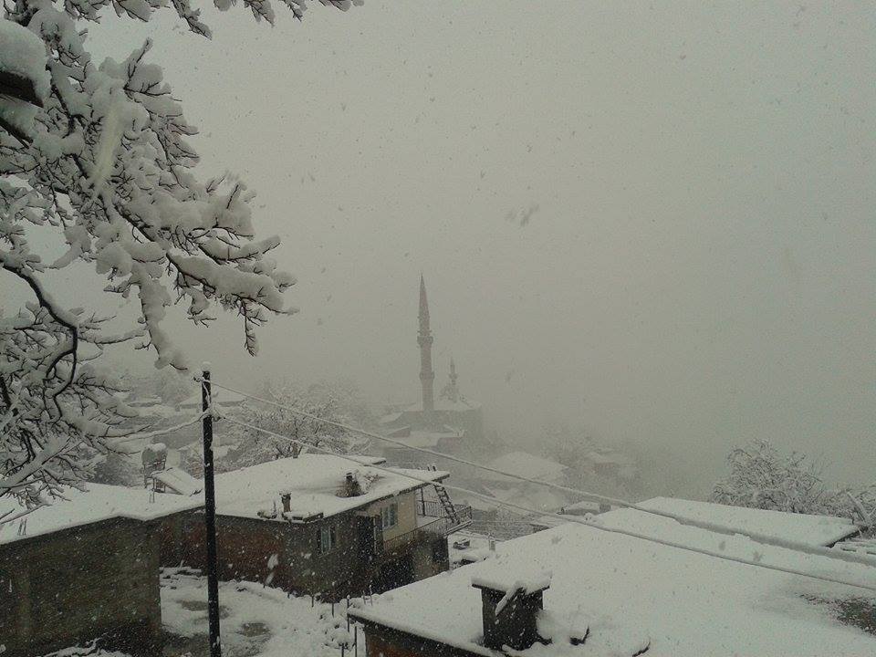 ORHAN1