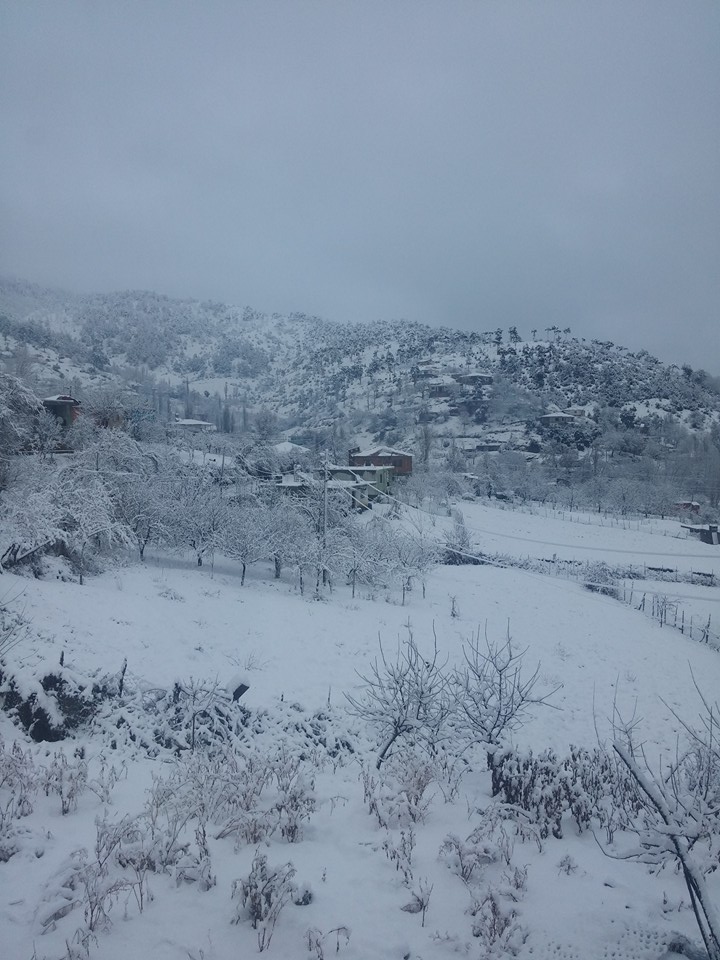 çakıroğlu3
